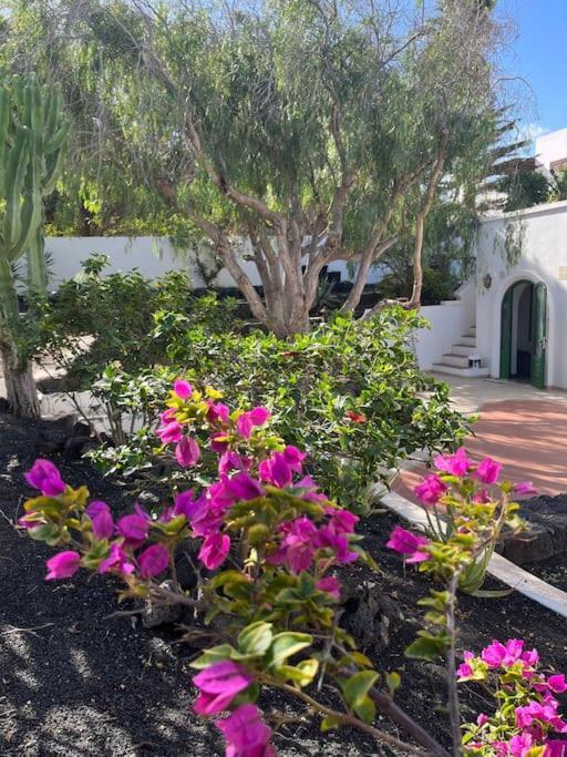 Casa Chili Apartment Costa Teguise Exterior photo